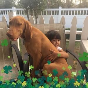 Meet your Posher, Debra